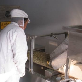 微波香辛料殺菌設備